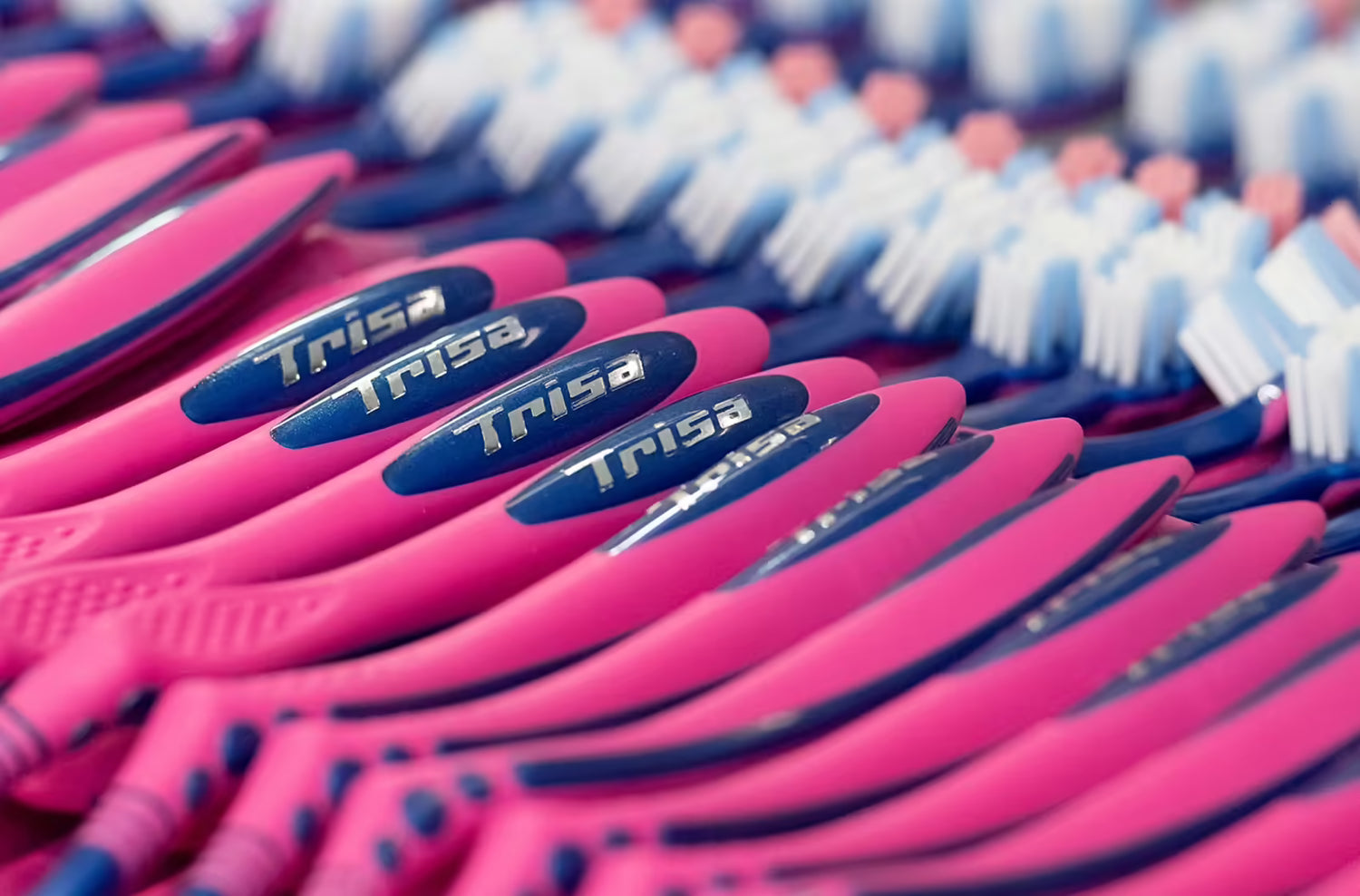 Selection of TRISA zobu birstees representing Swiss production of over one million brushes per day.
